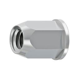 nýt maticový plochá hlava, šestihranný, M6 (0,5-3,0) Zn