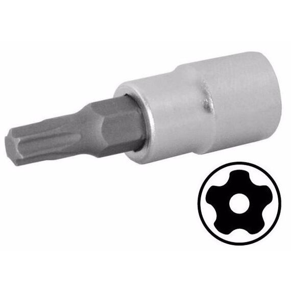 PROTECO hlavica 1/2" TRX 5 otvor