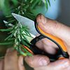 FISKARS 1063326 nožnice na bylinky SOLID kalené nerezové čepele
