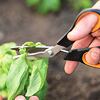 FISKARS nůžky SOLID SP240 na zeleninu, 1063327