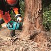 MAKITA UC011GZ - Vhodná pro kácení.