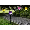 lampa solární TULIPÁN, 30,5cm, pr.4,8cm, 1LED, mix barev, 797491