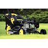 PROTECO sekačka motorová s pojezdem, 46cm, motor OHV LONCIN 2,5kW, koš 62l, 51.06-BS-139